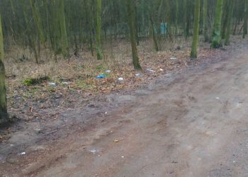 Śmieci w lasku, koszy brak. Co na to miasto?