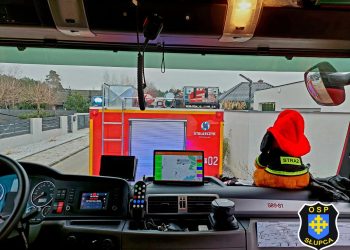 Akcja strażaków w Piotrowicach