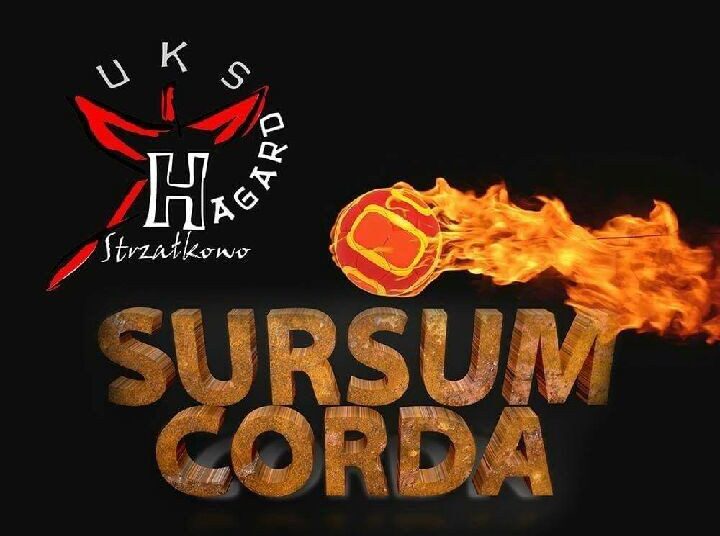 Spisali się fantastycznie