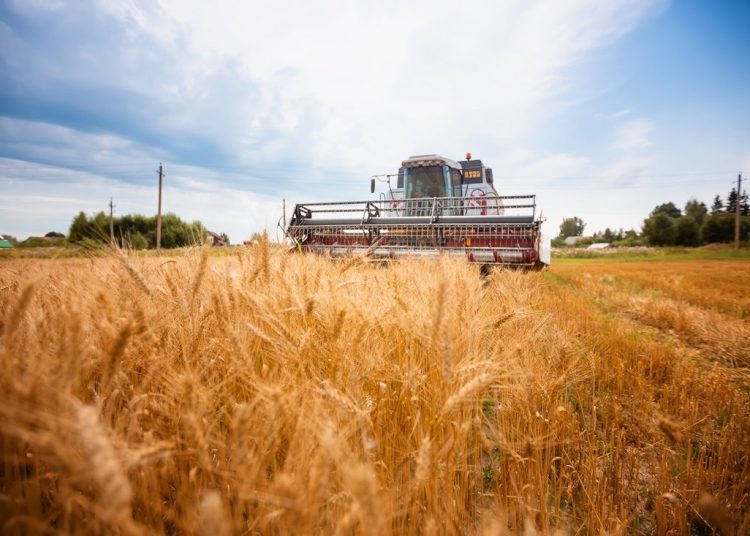 Awarie kombajnów – czy można przygotować się na nie wcześniej?