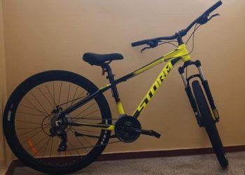 Kradzież na ul. Kopernika. Właścicielka apeluje do złodzieja