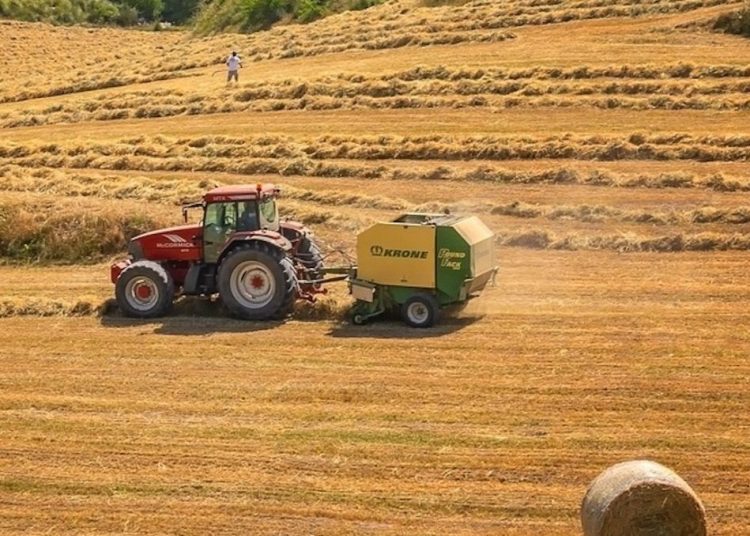 Gmina umorzy podatek rolnikom? Wójt wyjaśnia