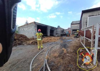 Pożar w Szamarzewie. 13 jałówek o włos od śmierci