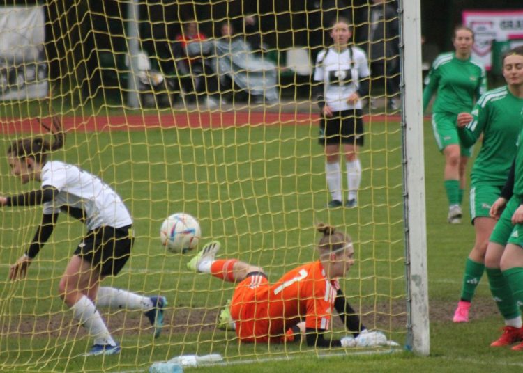 Lechia rozbita po przerwie