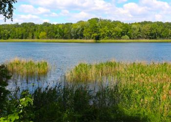 Afera wśród wędkarzy. Władze przyznają się do błędu