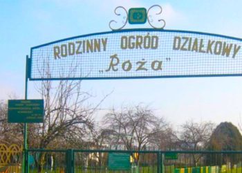 Sprawdź, czy nie zalewa Ci działki