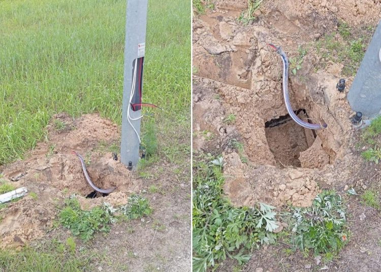 Nie uwierzysz, co teraz kradną. Wójt: Żeby Wam ręce uschły!