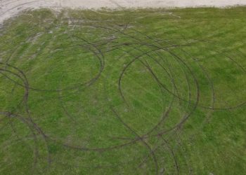 Kto zniszczył trawnik na plaży?