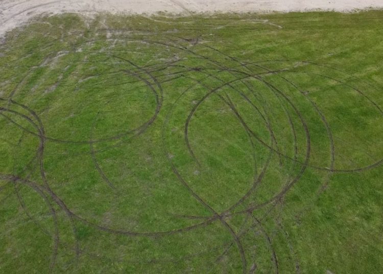 Kto zniszczył trawnik na plaży?