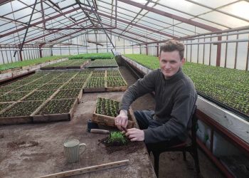 „Nie wyobrażam sobie ani dnia ani godziny bez rośliny”