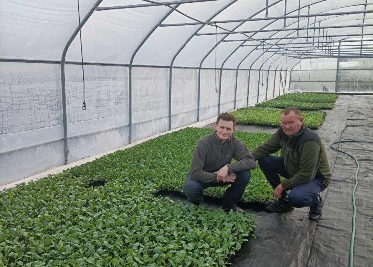 Wszystko, co ogrodnicze poszło po myśli dziadka”