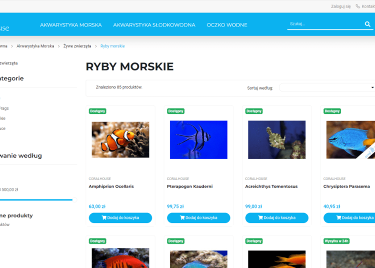 Ryby morskie idealne do małych akwariów