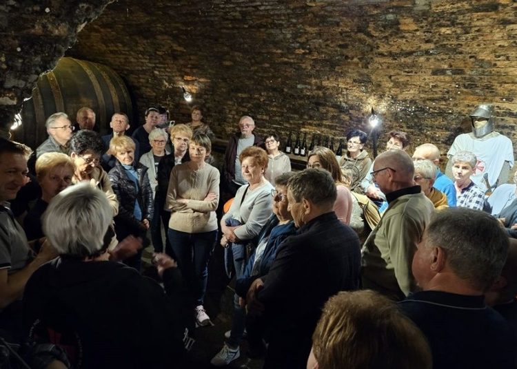 Zwiedzili Austrię i Węgry