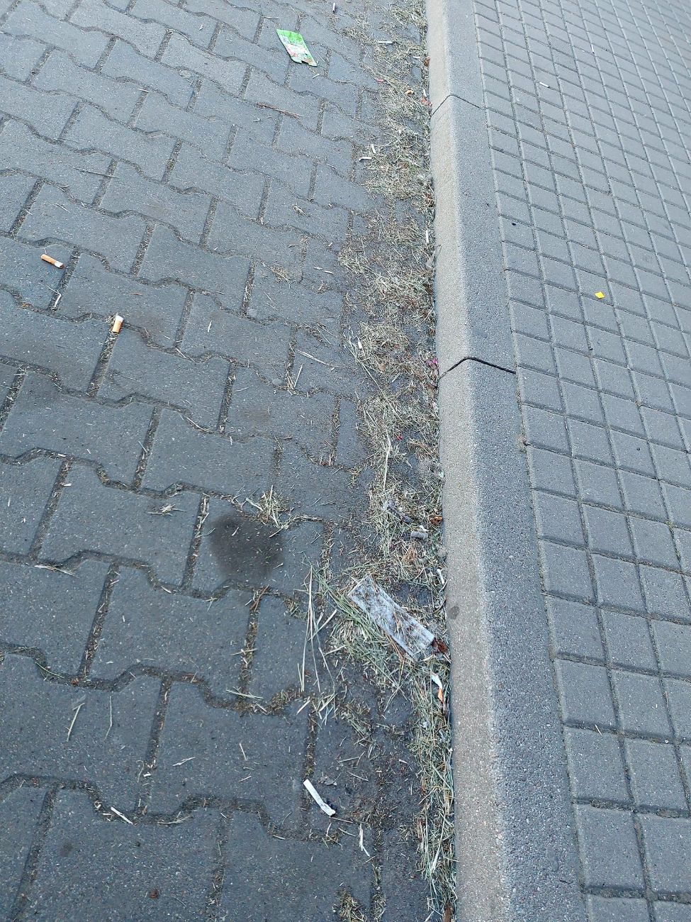 Zwraca uwagę na bałagan. „Kto jest za to odpowiedzialny?”