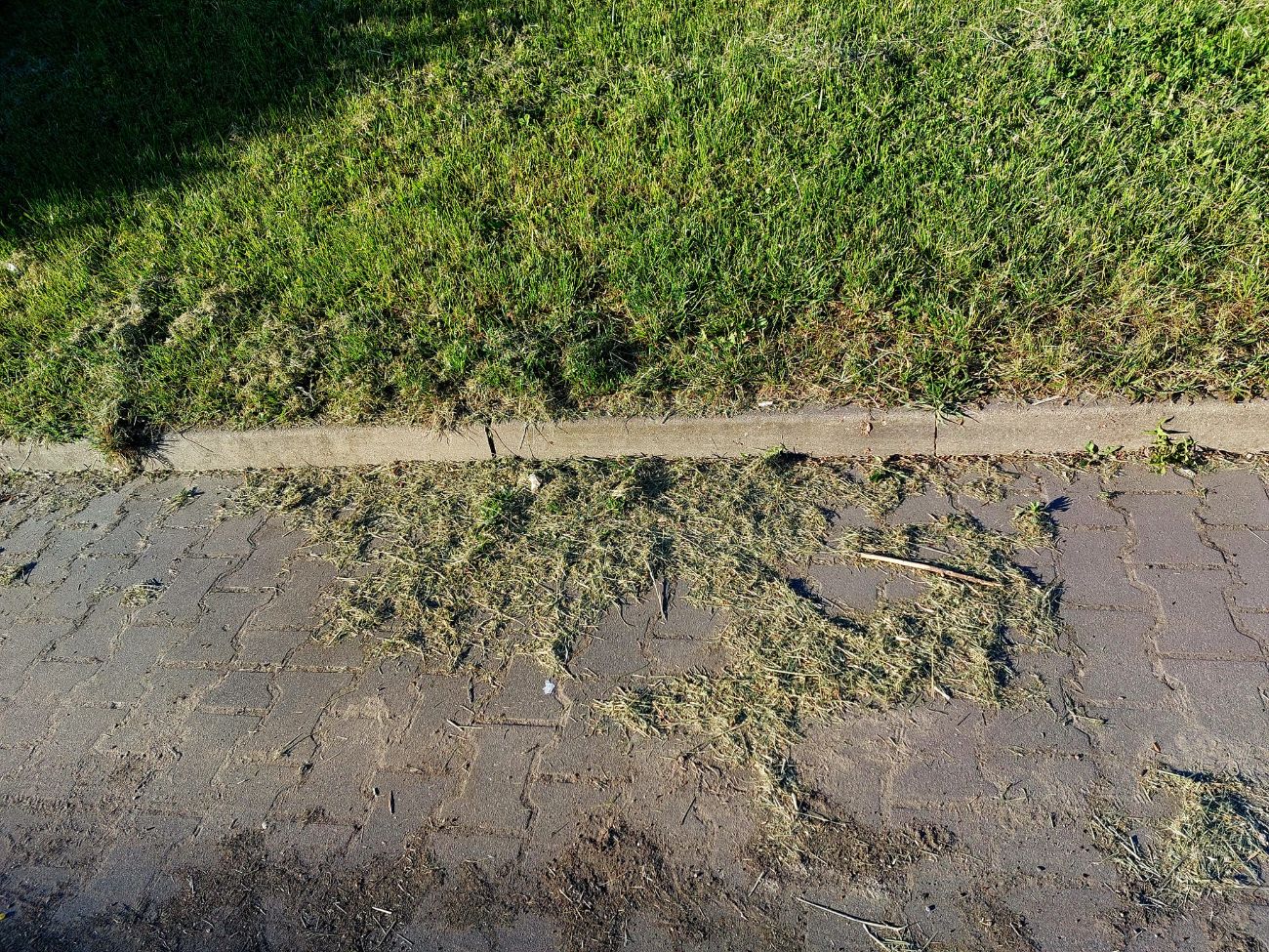 Zwraca uwagę na bałagan. „Kto jest za to odpowiedzialny?”