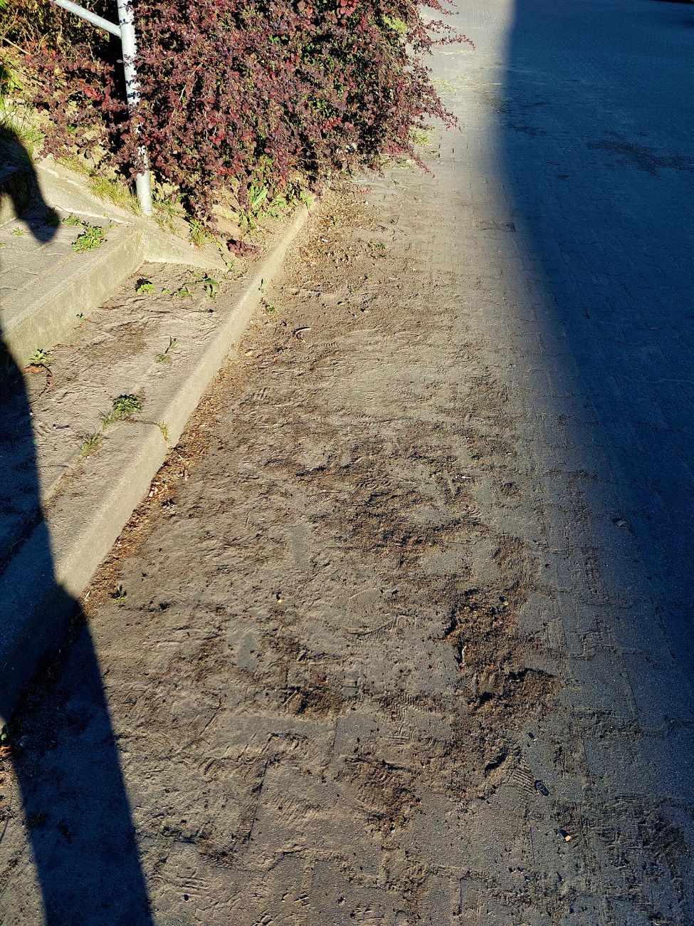 Zwraca uwagę na bałagan. „Kto jest za to odpowiedzialny?”