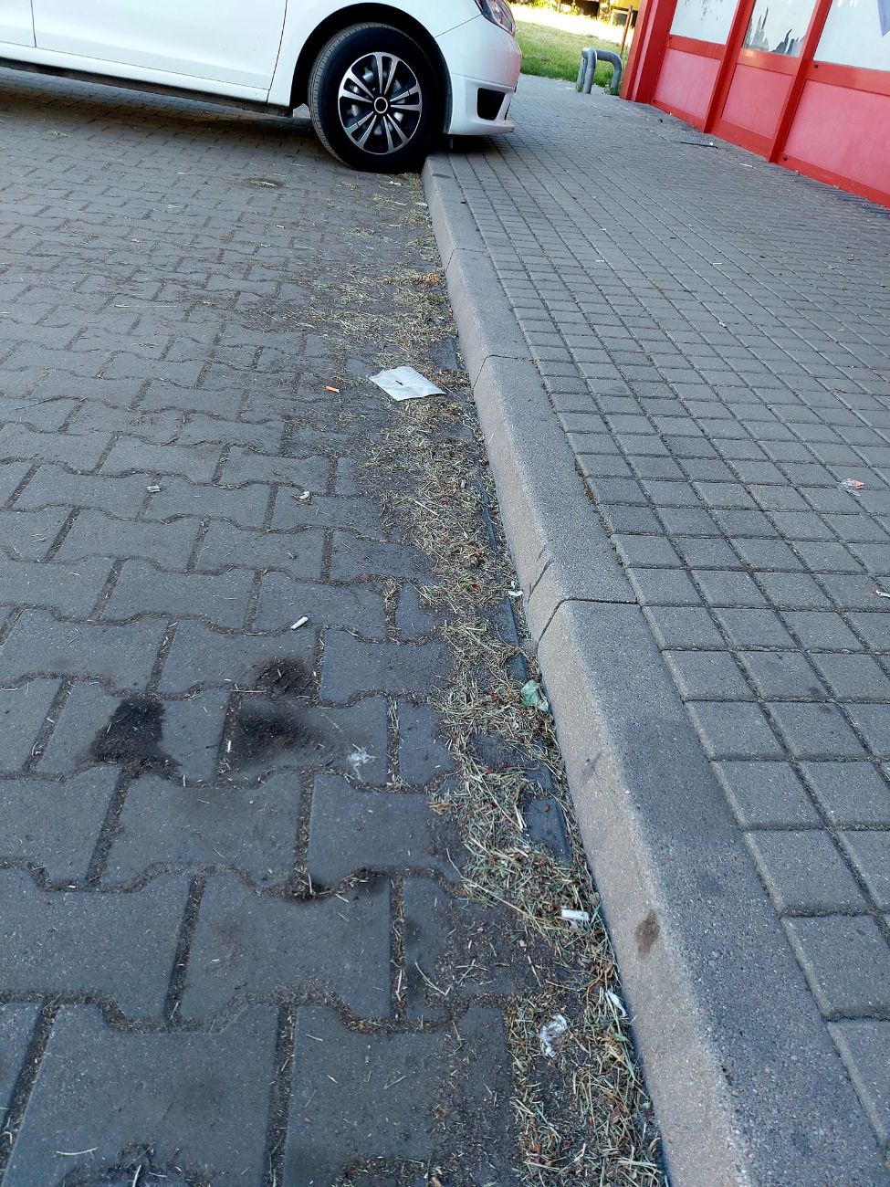 Zwraca uwagę na bałagan. „Kto jest za to odpowiedzialny?”