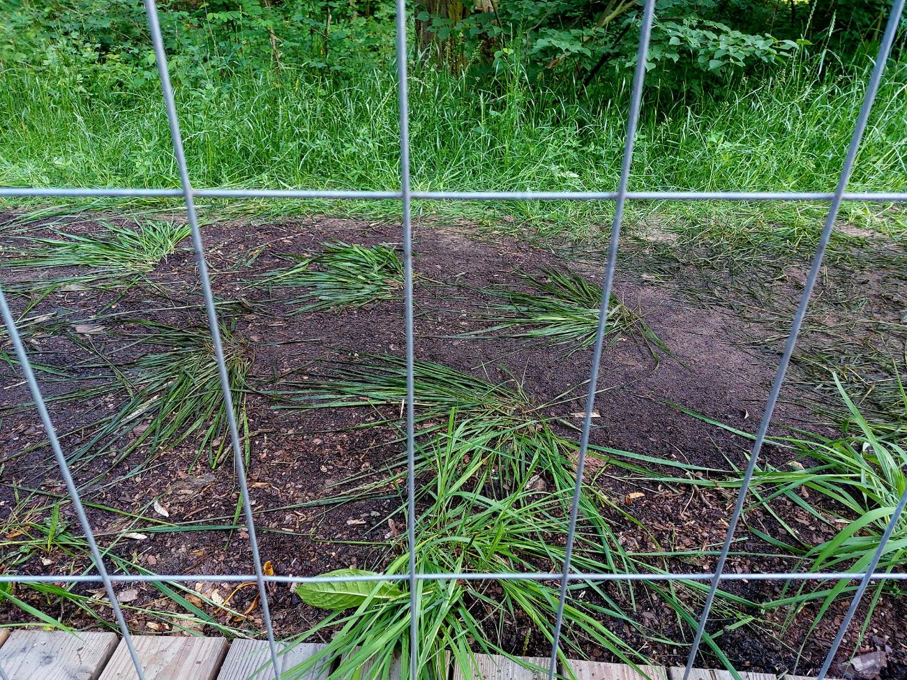 Wielu się o to bało. Jak wygląda promenada po imprezie?