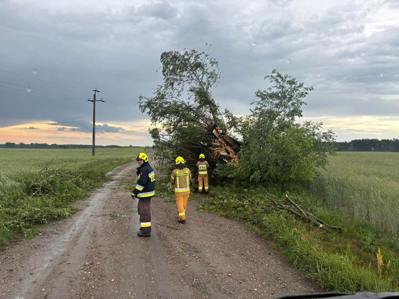 Walczyli z żywiołem. Poprzewracane drzewa, uszkodzone dachy