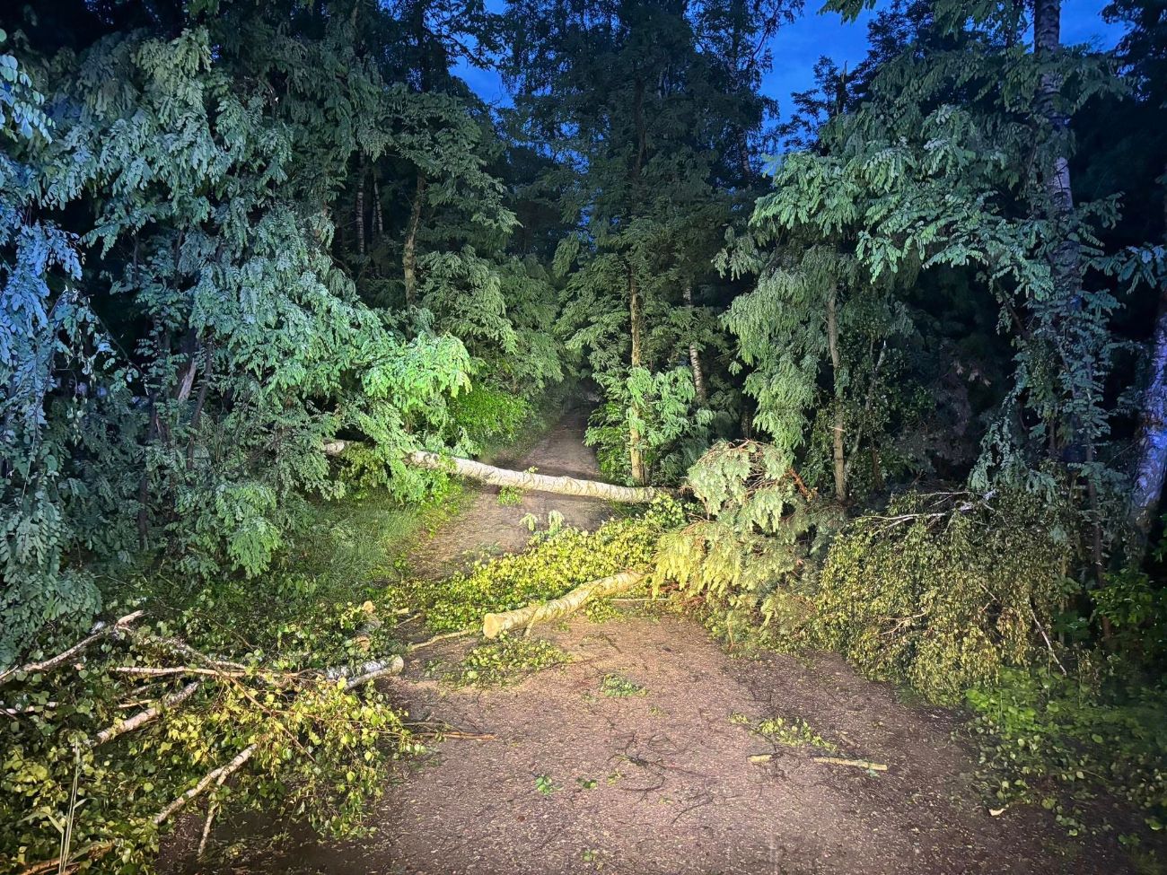 Walczyli z żywiołem. Poprzewracane drzewa, uszkodzone dachy