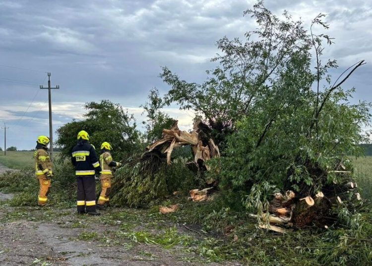 Walczyli z żywiołem. Poprzewracane drzewa, uszkodzone dachy
