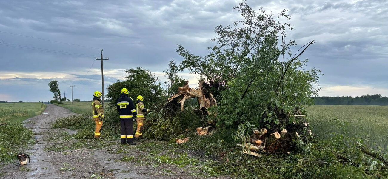 Walczyli z żywiołem. Poprzewracane drzewa, uszkodzone dachy