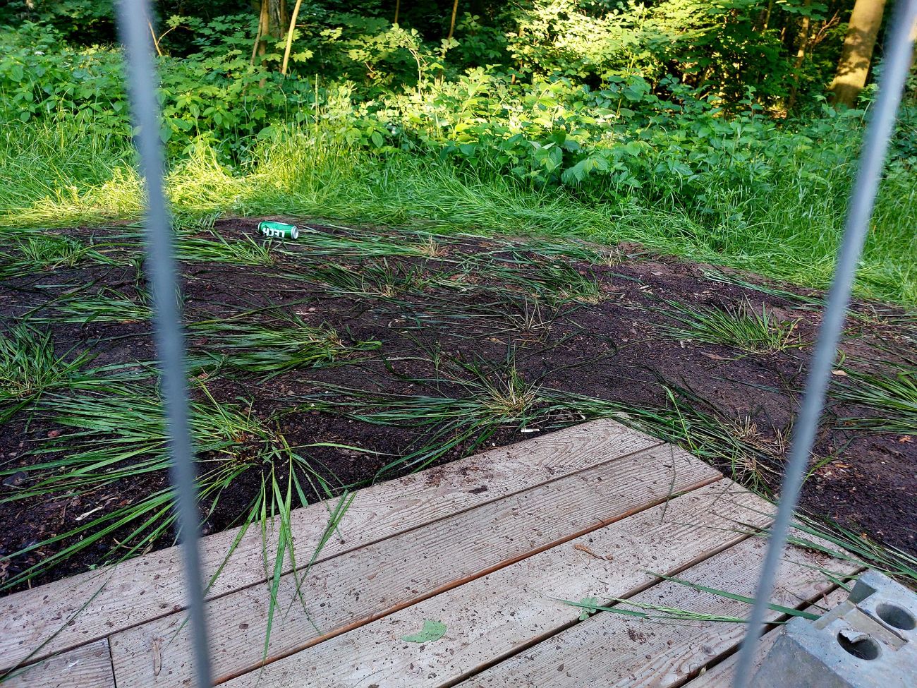 Wielu się o to bało. Jak wygląda promenada po imprezie?
