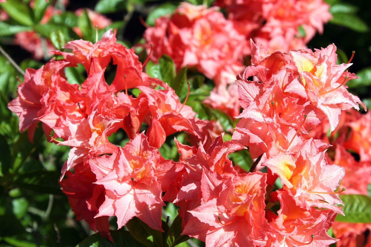 Uniwersytet na wycieczce. W świece kolorów, zapachów i historii