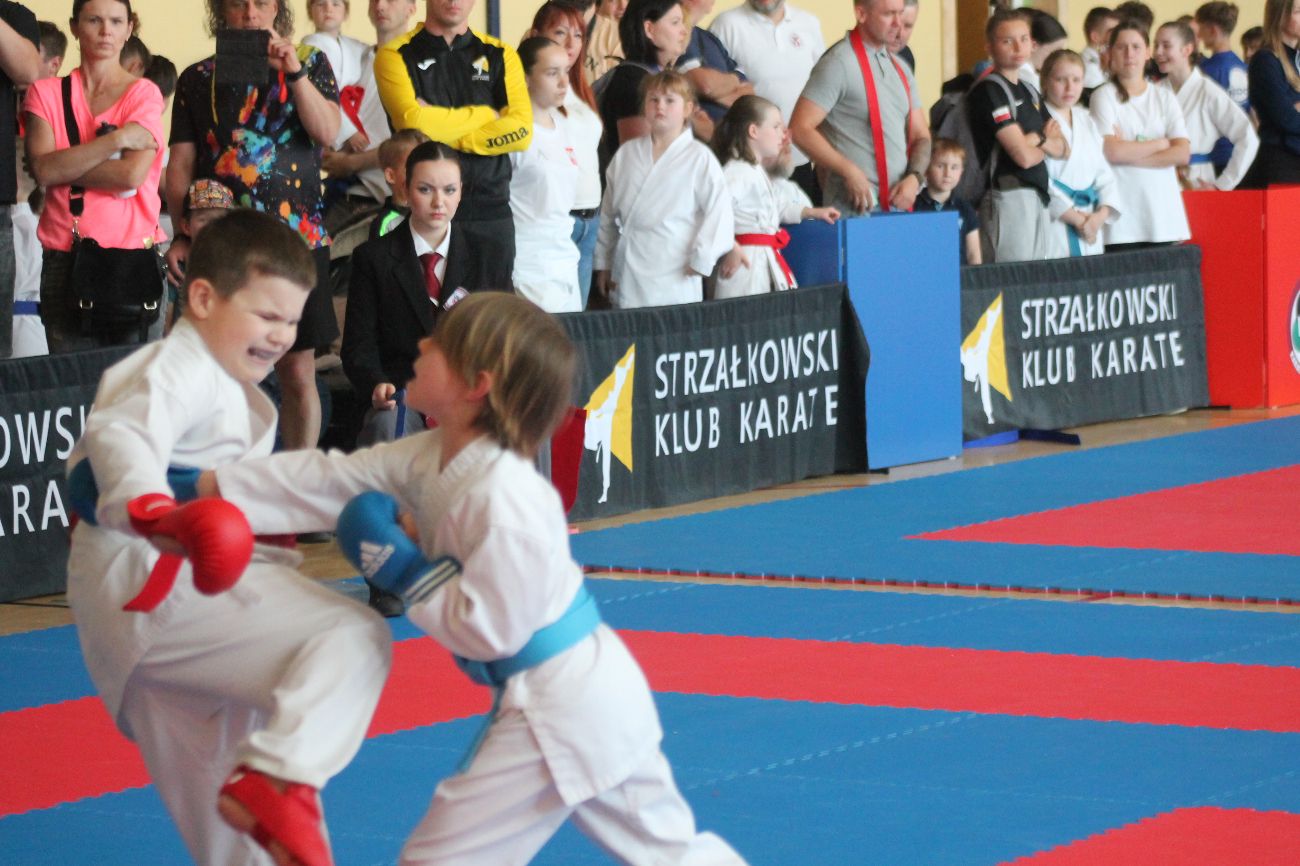 4 Silver Cup 2024 na fotografii