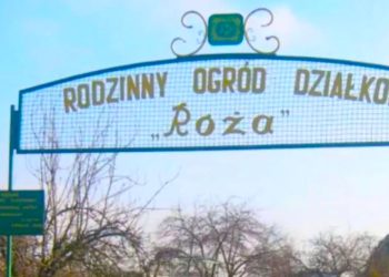 Seria włamań na działkach. Policja zatrzymała mężczyznę