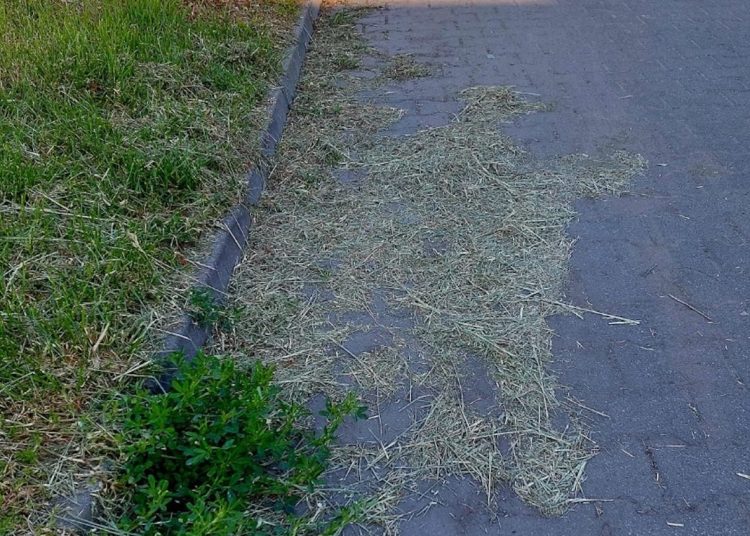 Zwraca uwagę na bałagan. „Kto jest za to odpowiedzialny?”