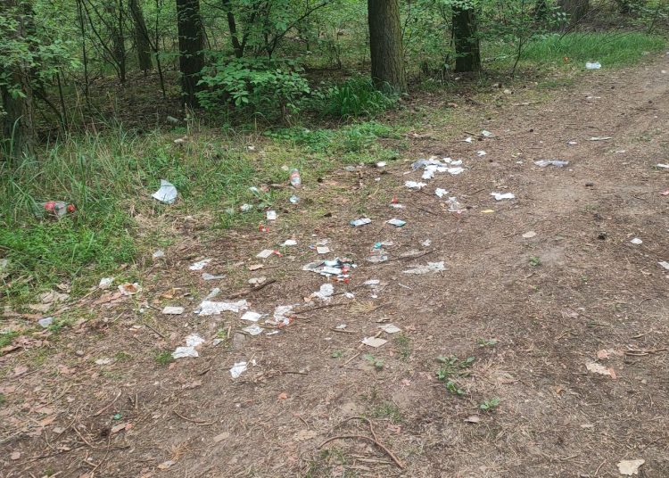 Śmieci codziennie przybywa, zwłaszcza po zabawie. „Tak dłużej być nie może”