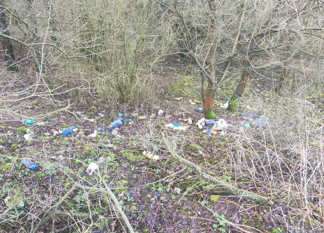 Śmieci codziennie przybywa, zwłaszcza po zabawie. „Tak dłużej być nie może”