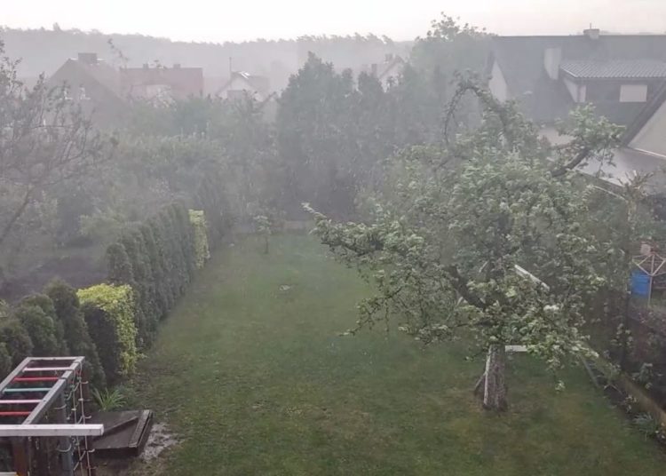 Armagedon nad Słupcą. Zobacz film