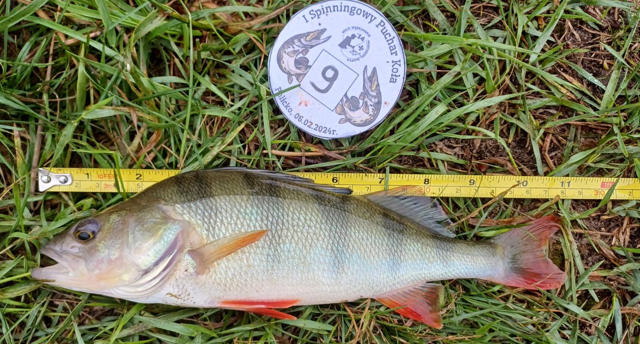 Spinningowy Puchar Koła