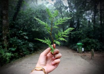 Warsztaty ekologiczne – zdobywanie wiedzy poprzez dobrą zabawę