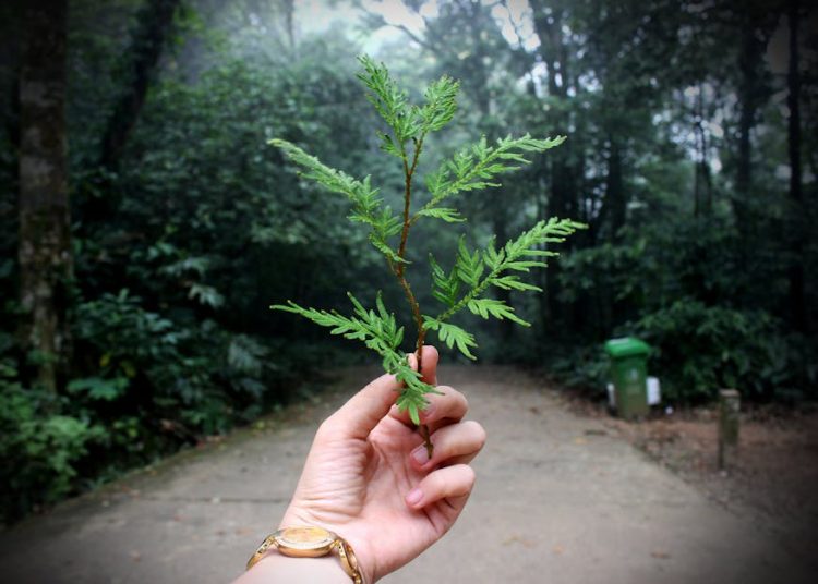 Warsztaty ekologiczne – zdobywanie wiedzy poprzez dobrą zabawę