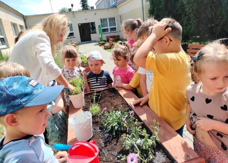 Przyrodnicze ogródki w Kowalewie