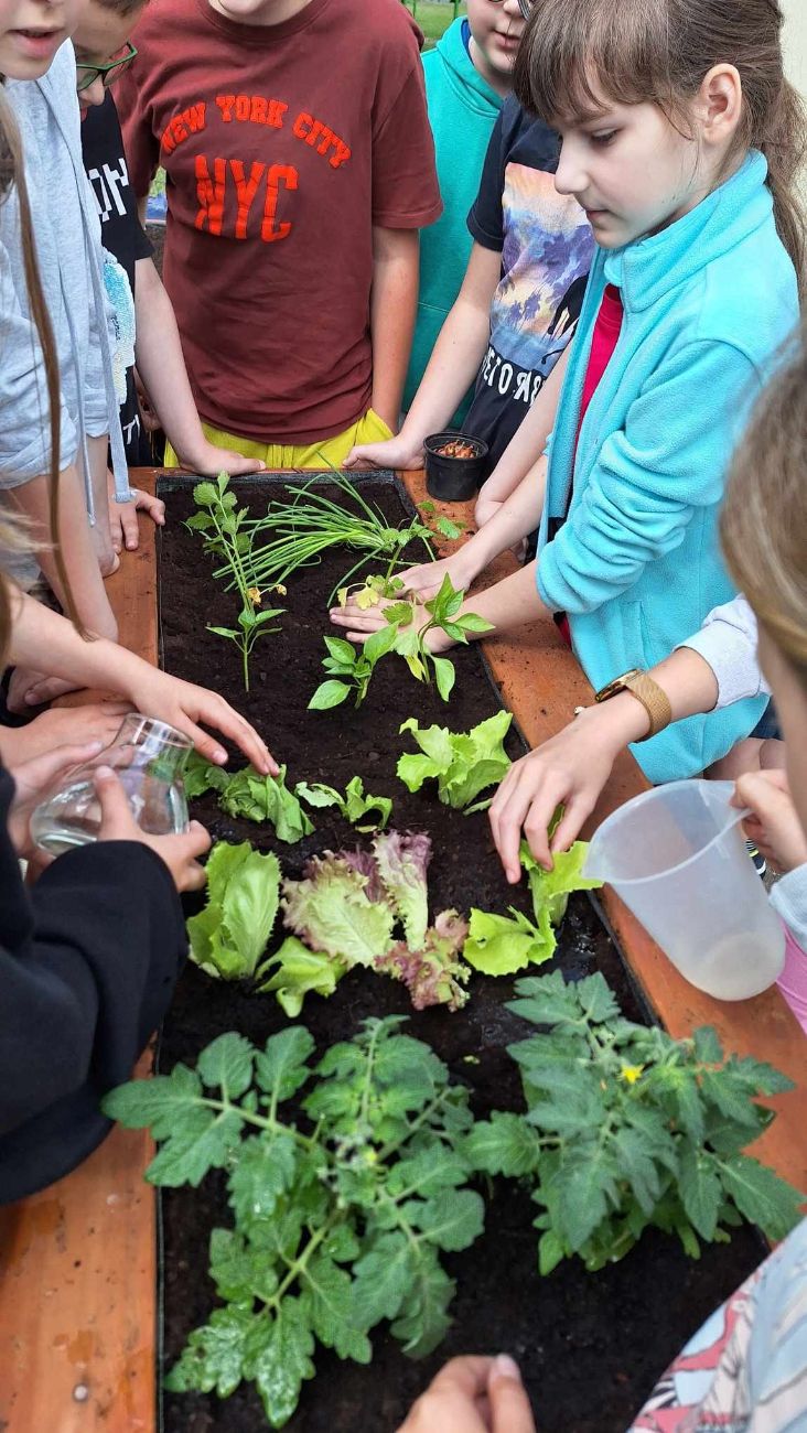 Przyrodnicze ogródki w Kowalewie