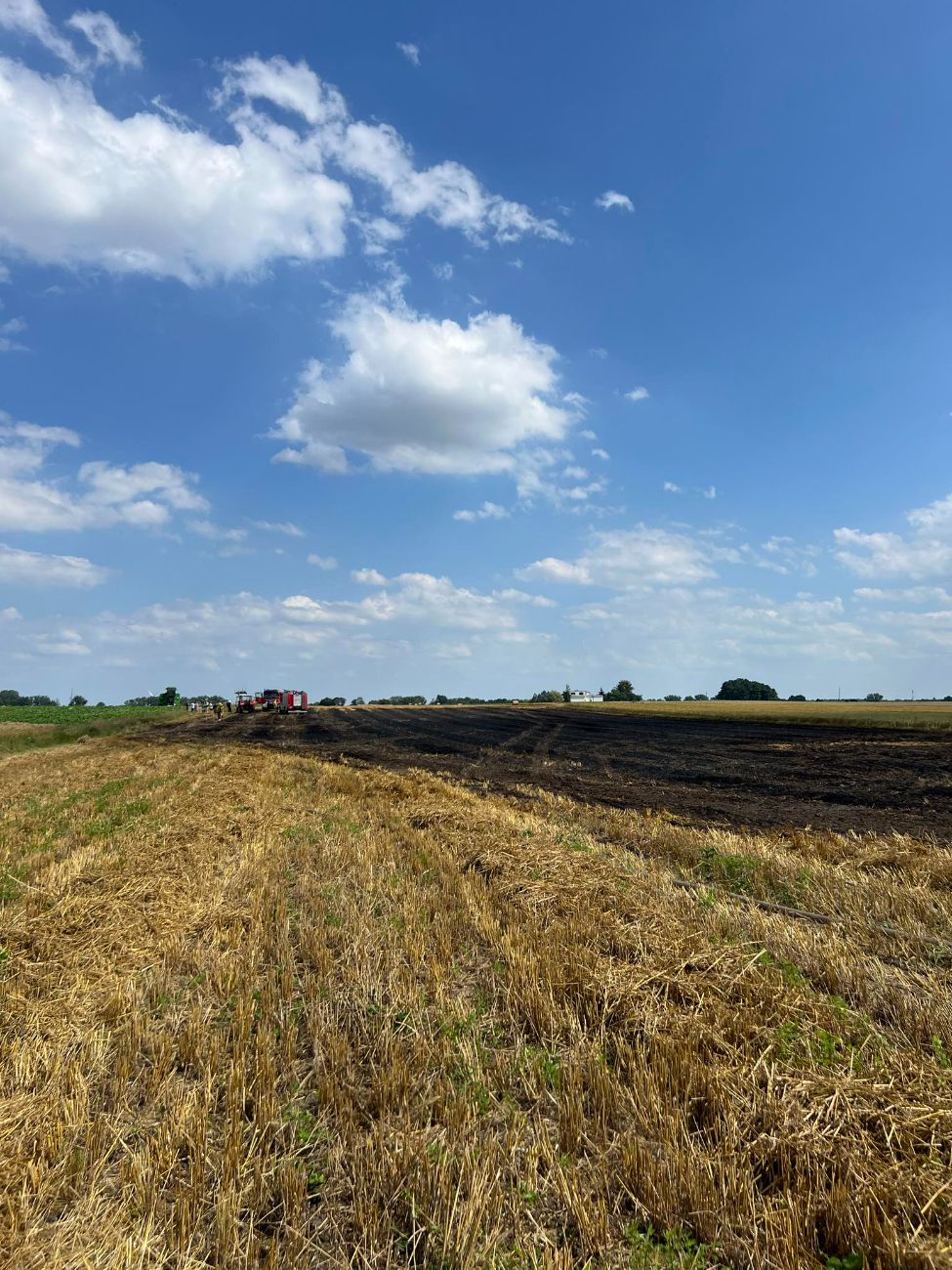Paliło się w Kotuni. Ucierpiał kierowca ciągnika