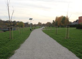 Pies bez smyczy? Radny chce tabliczek na promenadach