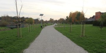 Pies bez smyczy? Radny chce tabliczek na promenadach