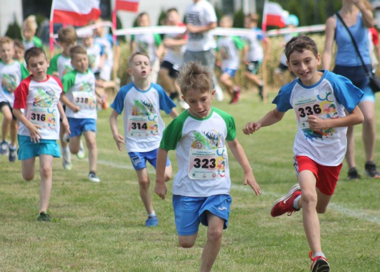 Cienińska na szóstkę