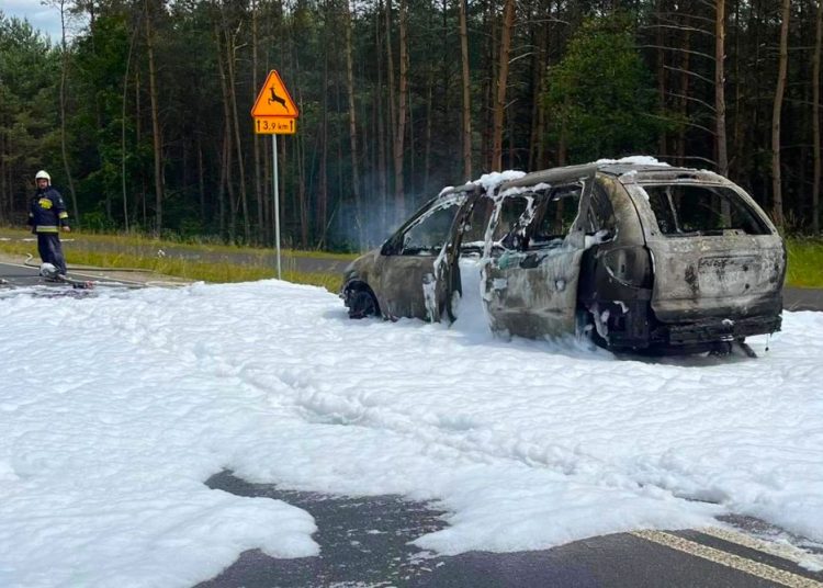 Znowu interweniowali w okolicach Powidza. Samochód spłonął