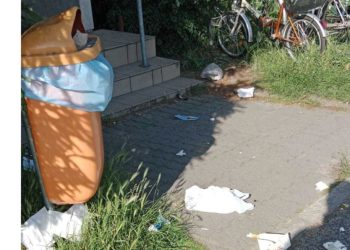 „Ptaki robią wielki bałagan”