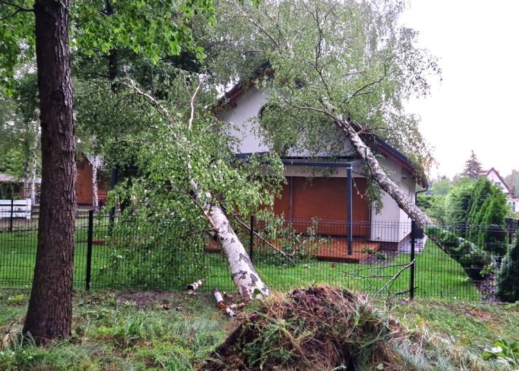 Drzewo przewróciło się na dom