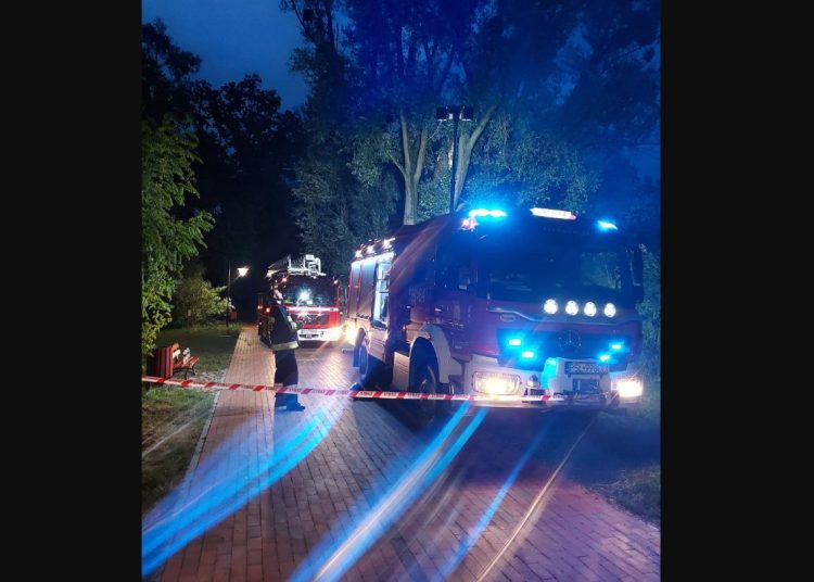 Akcja na promenadzie. Co się stało?