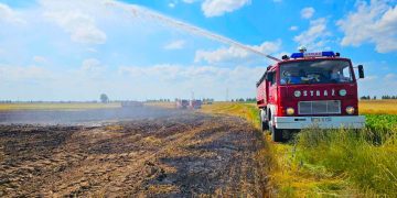 Paliło się w Kotuni. Ucierpiał kierowca ciągnika