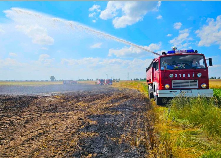 Paliło się w Kotuni. Ucierpiał kierowca ciągnika