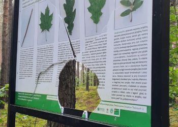 Akt wandalizmu na Szubiankach